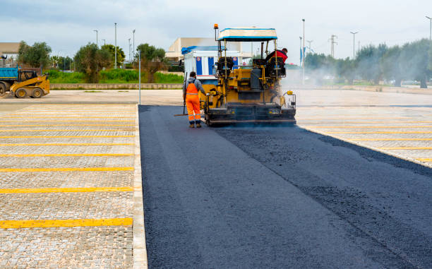 Best Professional Driveway Pavers  in Taylor Creek, FL