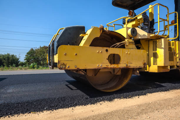 Best Decorative Driveway Pavers  in Taylor Creek, FL